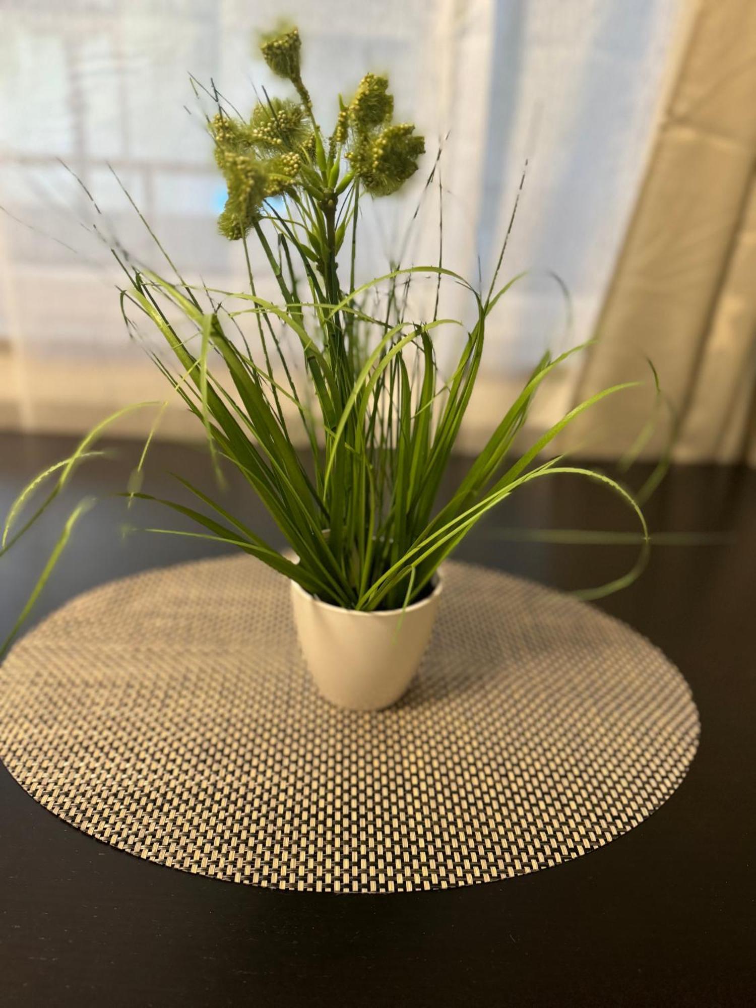 קרפלד M&Bluxux Apartaments מראה חיצוני תמונה